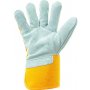 Kombinované zimní rukavice DINGO WINTER s blistrem